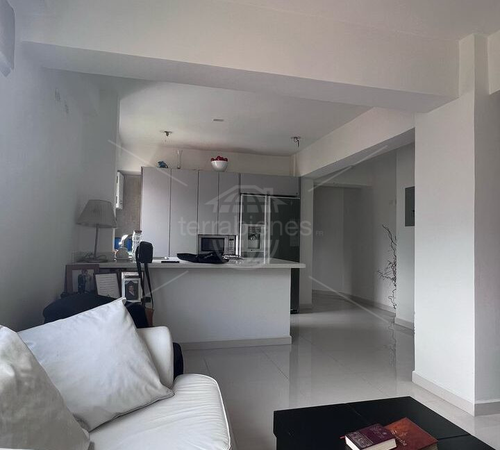 Sala - Cocina (3)