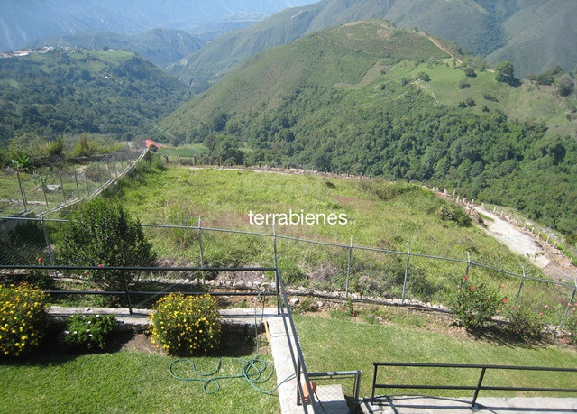 WhatsApp Image 2025-07-02 at 5.22.21 PM (1)