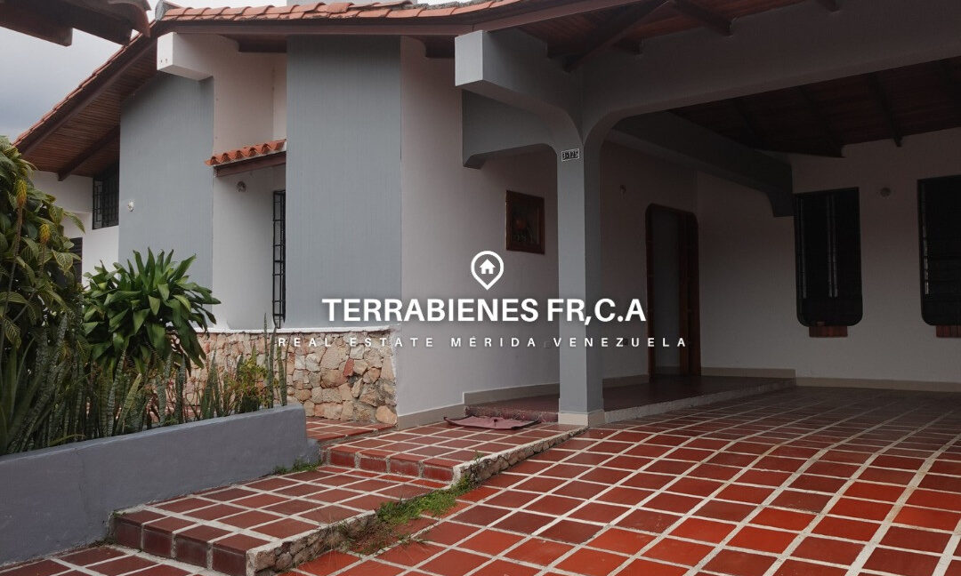 WhatsApp Image 2026-03-27 at 2.54.36 PM