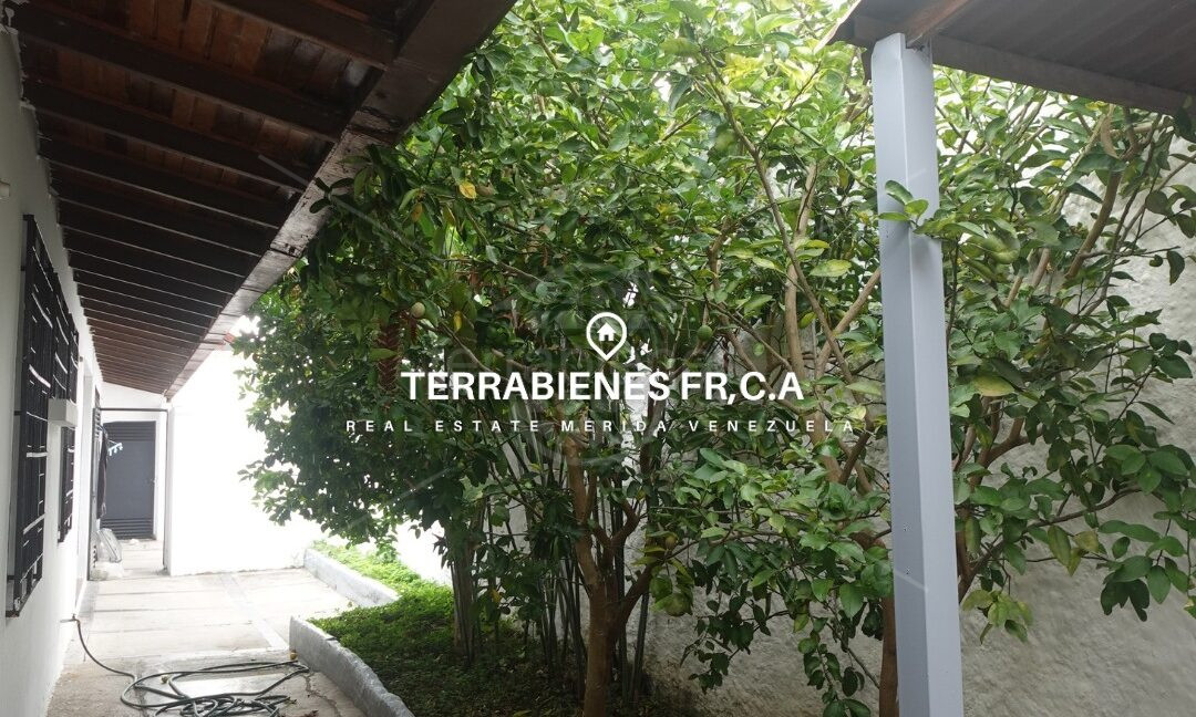 WhatsApp Image 2026-03-27 at 2.54.39 PM